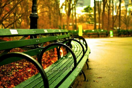 New York parks